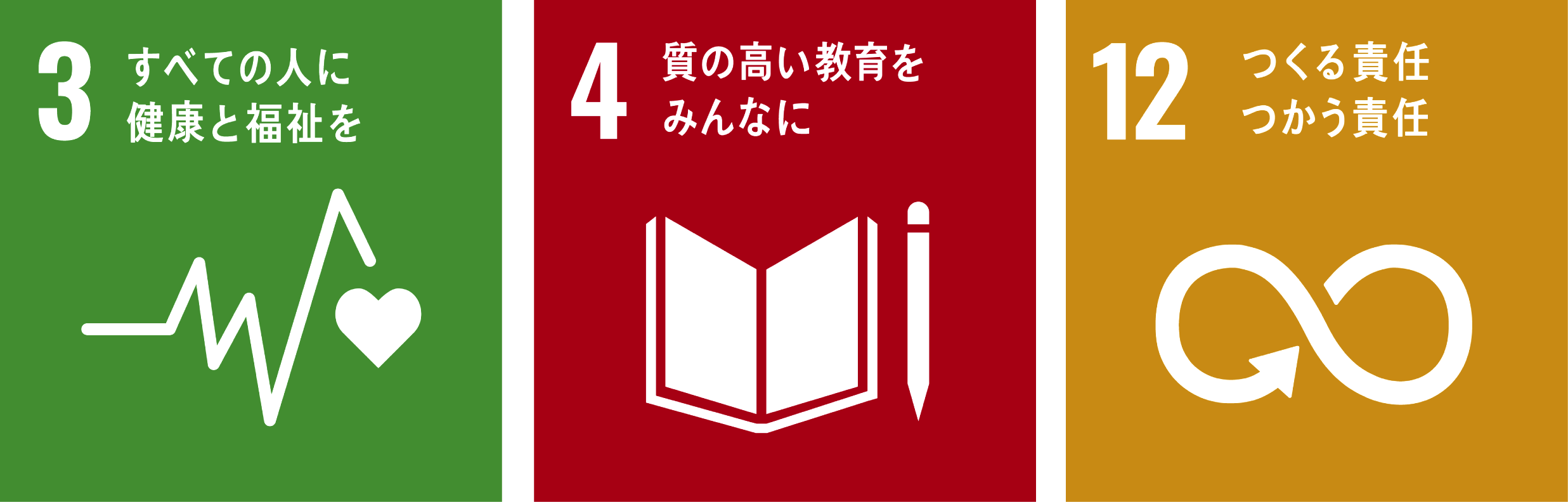 sdg icon 03 04 12 ja 2